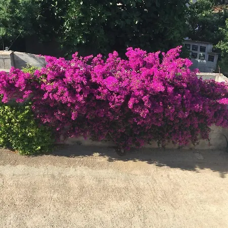 Apartament A Palma
